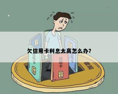 欠信用卡利息太高怎么办？