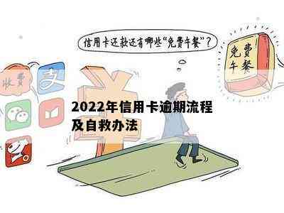 2022年信用卡逾期流程及自救办法