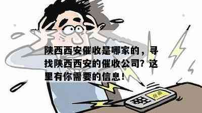 陕西西安是哪家的，寻找陕西西安的公司？这里有你需要的信息！