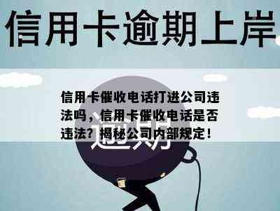 信用卡电话打进公司违法吗，信用卡电话是否违法？揭秘公司内部规定！