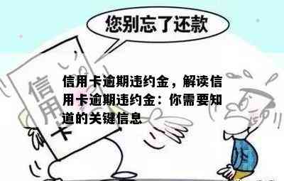 信用卡逾期违约金，解读信用卡逾期违约金：你需要知道的关键信息