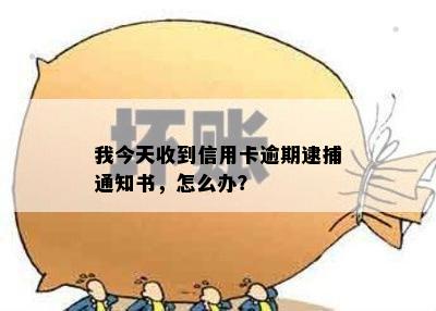 我今天收到信用卡逾期逮捕通知书，怎么办？