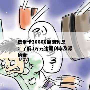 信用卡30000逾期利息：了解3万元逾期利率及滞纳金