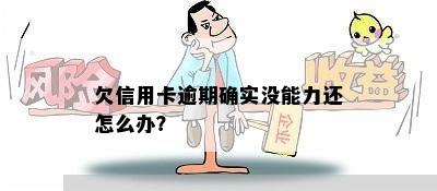 欠信用卡逾期确实没能力还怎么办？