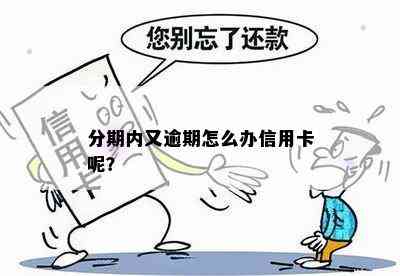 分期内又逾期怎么办信用卡呢？