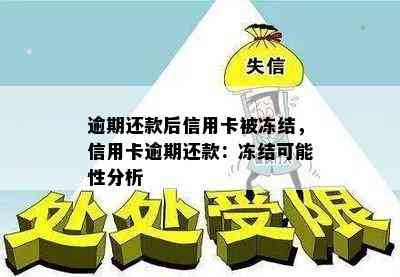 逾期还款后信用卡被冻结，信用卡逾期还款：冻结可能性分析