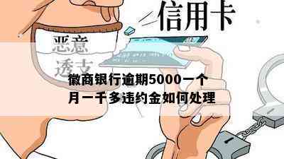 徽商银行逾期5000一个月一千多违约金如何处理