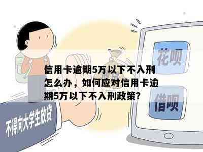 信用卡逾期5万以下不入刑怎么办，如何应对信用卡逾期5万以下不入刑政策？