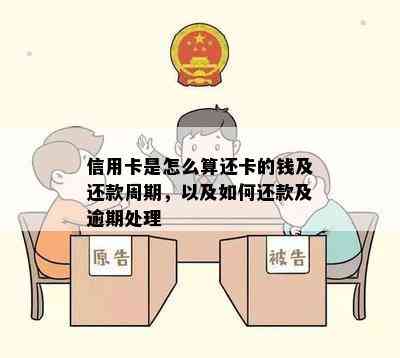 信用卡是怎么算还卡的钱及还款周期，以及如何还款及逾期处理