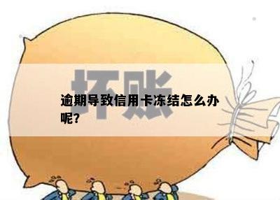 逾期导致信用卡冻结怎么办呢？