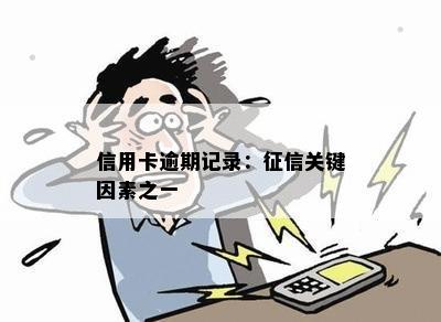 信用卡逾期记录：关键因素之一