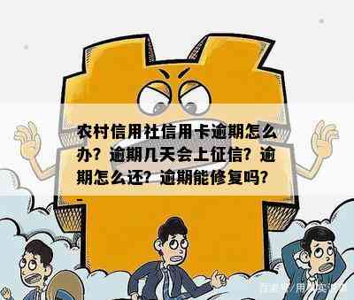 农村信用社信用卡逾期怎么办？逾期几天会上？逾期怎么还？逾期能修复吗？-