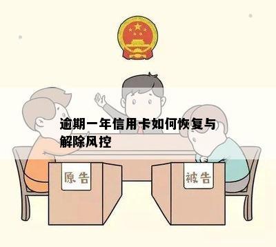 逾期一年信用卡如何恢复与解除风控