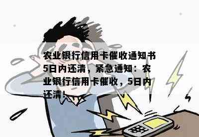 农业银行信用卡通知书5日内还清，紧急通知：农业银行信用卡，5日内还清！