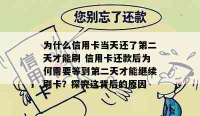 为什么信用卡当天还了第二天才能刷 信用卡还款后为何需要等到第二天才能继续刷卡？探究这背后的原因