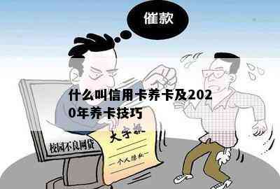 什么叫信用卡养卡及2020年养卡技巧