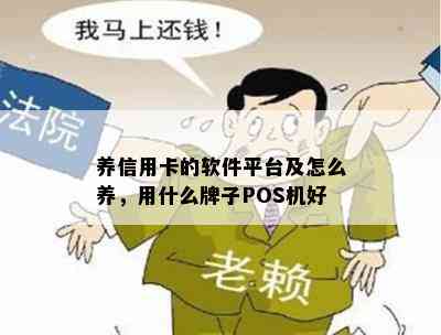 养信用卡的软件平台及怎么养，用什么牌子POS机好