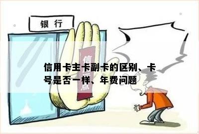 信用卡主卡副卡的区别、卡号是否一样、年费问题