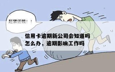 信用卡逾期新公司会知道吗怎么办，逾期影响工作吗