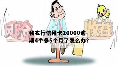 我农行信用卡20000逾期4个多5个月了怎么办？