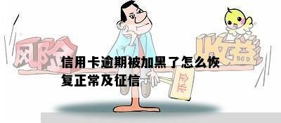 信用卡逾期被加黑了怎么恢复正常及