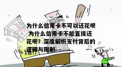 为什么信用卡不可以还花呗 为什么信用卡不能直接还花呗？深度解析支付背后的逻辑与限制