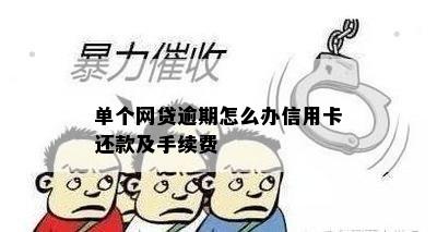 单个网贷逾期怎么办信用卡还款及手续费