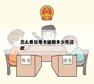 怎么看信用卡逾期多少天还款