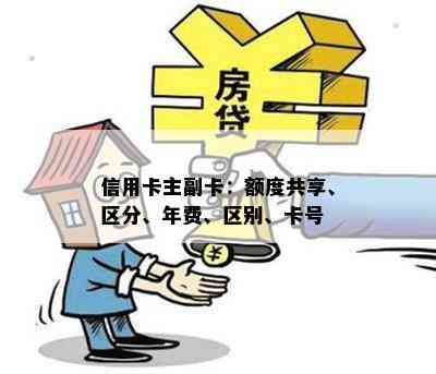 信用卡主副卡：额度共享、区分、年费、区别、卡号