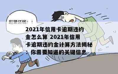 2021年信用卡逾期违约金怎么算 2021年信用卡逾期违约金计算方法揭秘：你需要知道的关键信息