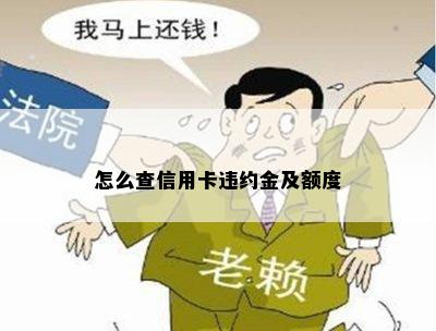 怎么查信用卡违约金及额度