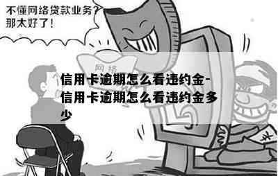 信用卡逾期怎么看违约金-信用卡逾期怎么看违约金多少