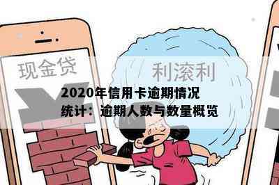 2020年信用卡逾期情况统计：逾期人数与数量概览