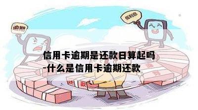 信用卡逾期是还款日算起吗-什么是信用卡逾期还款