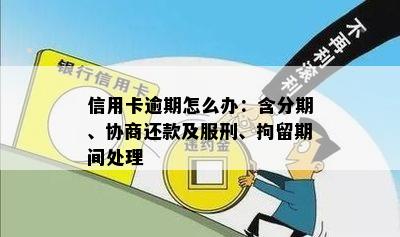 信用卡逾期怎么办：含分期、协商还款及服刑、拘留期间处理