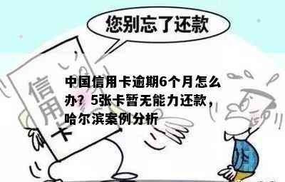 中国信用卡逾期6个月怎么办？5张卡暂无能力还款，哈尔滨案例分析