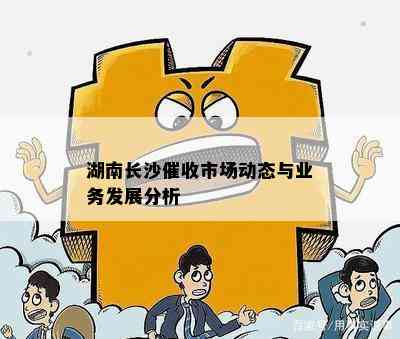 湖南长沙市场动态与业务发展分析