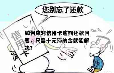 如何应对信用卡逾期还款问题，只需十元滞纳金就能解决？