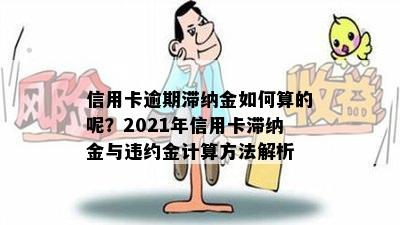 信用卡逾期滞纳金如何算的呢？2021年信用卡滞纳金与违约金计算方法解析