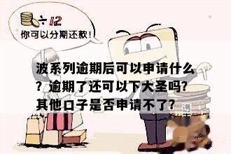 波系列逾期后可以申请什么？逾期了还可以下大圣吗？其他口子是否申请不了？