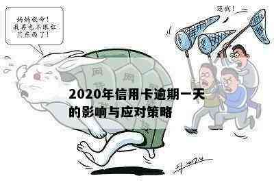 2020年信用卡逾期一天的影响与应对策略