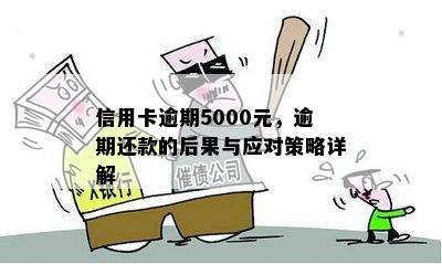 信用卡逾期5000元，逾期还款的后果与应对策略详解