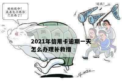 2021年信用卡逾期一天怎么办理补救措