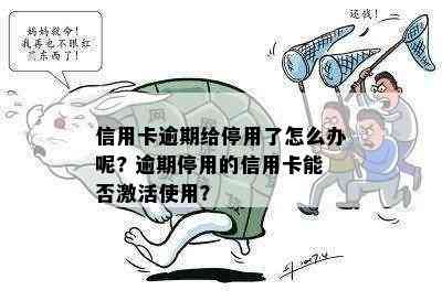 信用卡逾期给停用了怎么办呢? 逾期停用的信用卡能否激活使用？