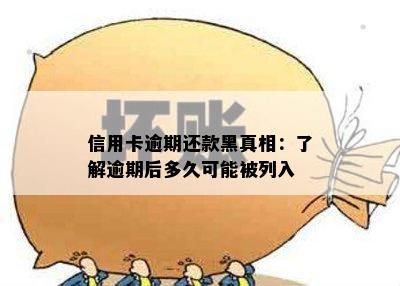 信用卡逾期还款黑真相：了解逾期后多久可能被列入