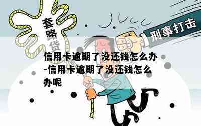 信用卡逾期了没还钱怎么办-信用卡逾期了没还钱怎么办呢