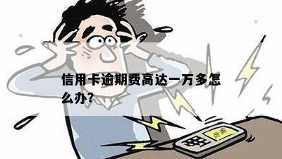 信用卡逾期费高达一万多怎么办？