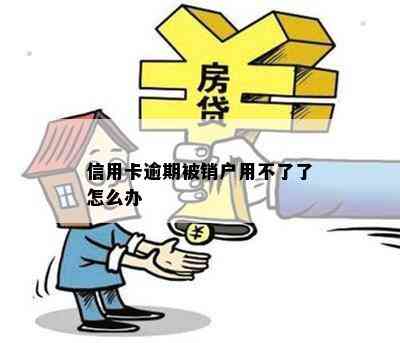 信用卡逾期被销户用不了了怎么办