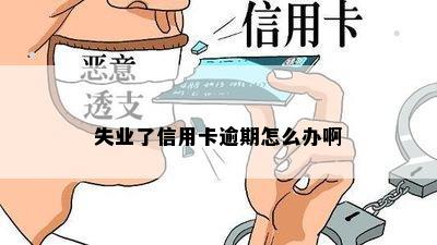 失业了信用卡逾期怎么办啊