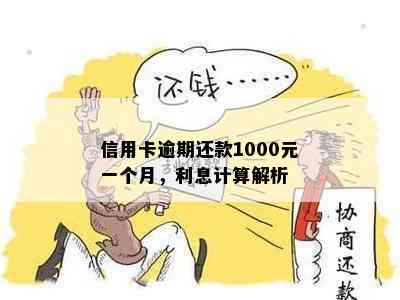 信用卡逾期还款1000元一个月，利息计算解析